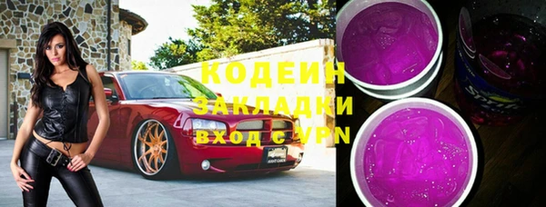 шишки Богородицк