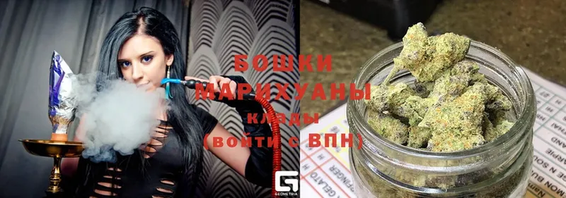 Канабис OG Kush  Шумерля 